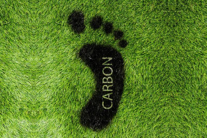 We can contribute to reducing our carbon footprint at home. Reduce, reuse, and recycle at home, and switch to sustainable lifestyle products. (COURTESY PHOTO)