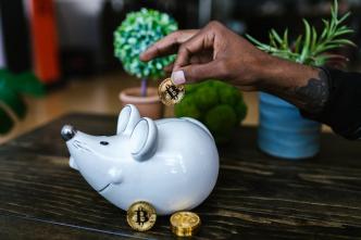 There's no denying that cryptocurrency is an intriguing subject that piques everyone's interest. PHOTO: RDNE Stock Project / Pexels