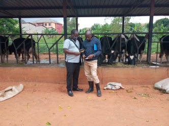 Mr. Ronald Katamba (left) pictured helping one of the farmers with the tool. PHOTO / Jaguza