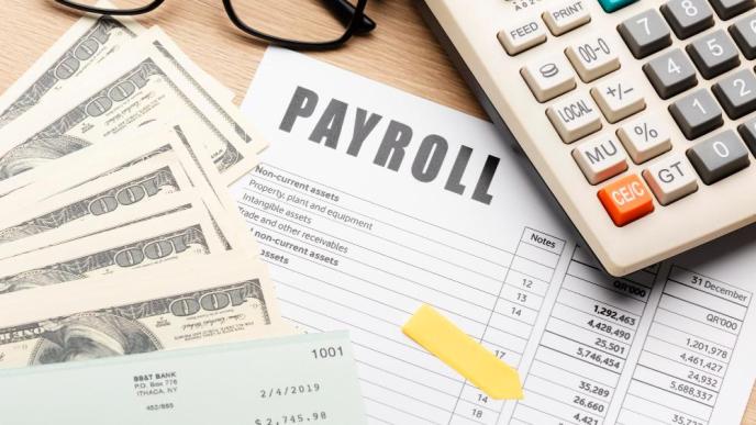 A payroll software application can automate rote tasks and house financial records for startups, thereby simplifying the process and preventing errors. PHOTO: Freepik