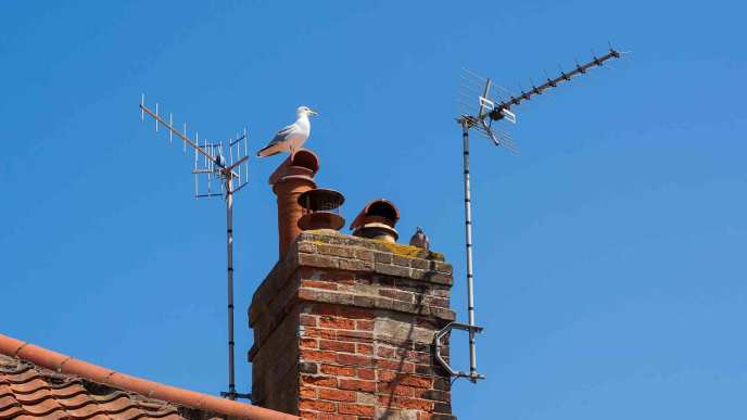 A key factor in selecting a TV aerial is understanding your geographical location and the available signal strength. Shutterstock Image