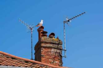 A key factor in selecting a TV aerial is understanding your geographical location and the available signal strength. Shutterstock Image