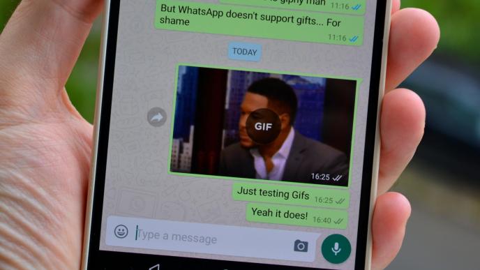 GIF in a WhatsApp message. PHOTO: Android Authority