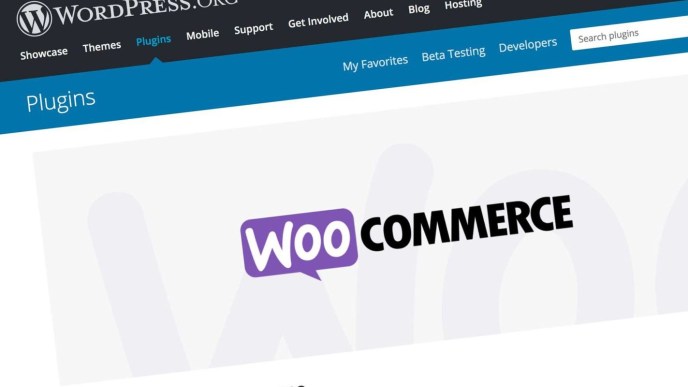 You can build your own eCommerce online store with WooCommerce in WordPress with no need of hiring a developer, which can cost you a lot of money. (COURTESY IMAGE)