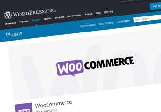 You can build your own eCommerce online store with WooCommerce in WordPress with no need of hiring a developer, which can cost you a lot of money. (COURTESY IMAGE)